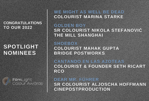 And the nominees for best colour grading in the Spotlight category are…